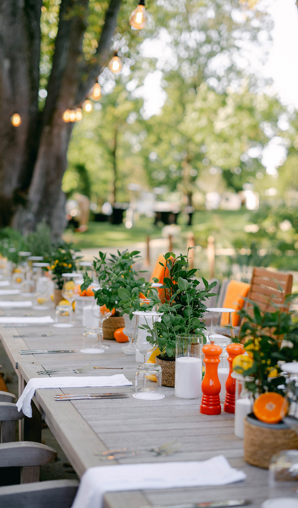 Podujatia - galéria / Események - foto