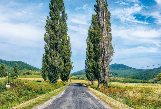 O nás - úvod 2 / Obmedzením počtu členov ročne - foto